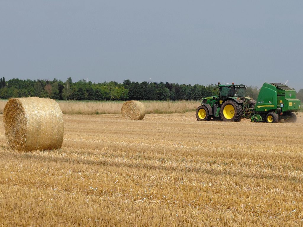 Agriculture
